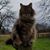 Barbara Covey Thomas's profile image