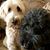 Lisa Crump's profile image