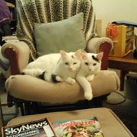 Kathi Douglas's profile image