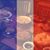 Peter Mathes's profile image