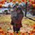 Shelley Lindberg Halpen's profile image