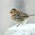 Marianne Hudson's profile image