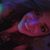 Kylee Durbin's profile image