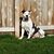 Jody Kyes's profile image