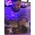 Jesse Lopez's profile image
