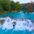 Alicia Rodriguez Ramos's profile image