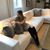 Daniela Stoianov's profile image