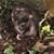 Janet Stoner Meehan's profile image