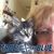 Hollie Pittman's profile image