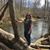 Lisa Tankersley Carrier's profile image
