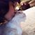 Linda Gauci Kusske's profile image
