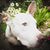 Judi Baker's profile image