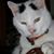 Amy Ritchey's profile image