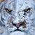 Joseph R Patterson's profile image