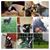 Carolyn Giambra's profile image