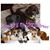 Angie Berry's profile image