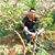 Abdulrhman Mohmad Termanini's profile image