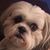 Jackie Mohr's profile image