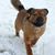 Vicki Rumbach's profile image