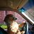Heather Pitchford's profile image