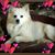 Joanna Walker's profile image