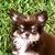 Stephanie Kulzer Saenz's profile image