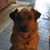 Gerry Bream's profile image