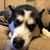John Sovine's profile image