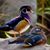 Carrie Frost-Hyson's profile image