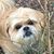 Cheryl Bogedain's profile image