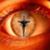 Chris Mcquillam's profile image