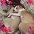 Glena Toste-Parman's profile image