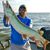 Mark Graziano's profile image