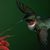 Robin Oakes's profile image