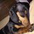 Tracey Beare Backus's profile image