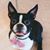 Mary Beth Hovelson Fletcher's profile image