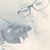 Shannon Knighton's profile image