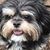 Angie Fain's profile image