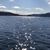 Patty Brebner's profile image
