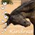 Donna Colston's profile image
