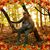 David Quesenberry's profile image