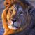 James Lyon's profile image