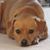 Catherine Tapogna's profile image