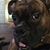 Ed Signor's profile image