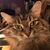 Candice Leuthold's profile image