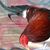 Eder Gonzalez's profile image