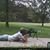 Dustin Allen Webb's profile image