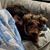 James Harmon's profile image