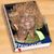 Regina Hodgepodge Johnson's profile image