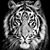 Mikhail Boretskiy's profile image